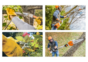 Stihl purning tools