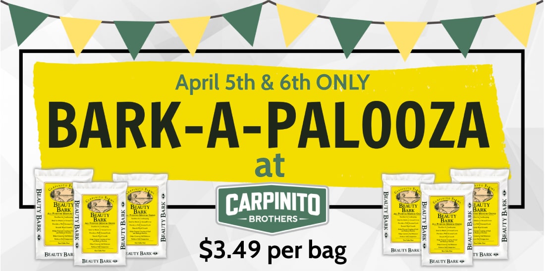 Bark-a-Palooza sale on beauty bark at Carpinito Brothers in Kent. 3.49 per bag April 5th and 6th ONLY.